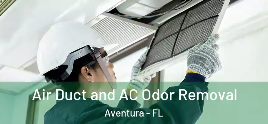  Air Duct and AC Odor Removal Aventura - FL