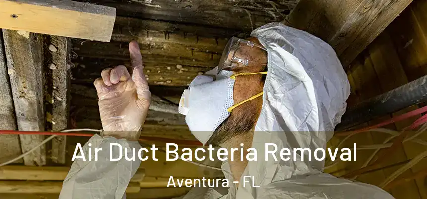 Air Duct Bacteria Removal Aventura - FL