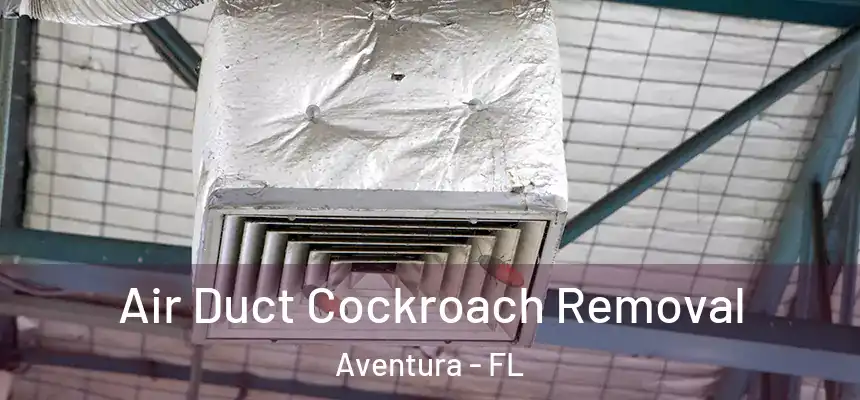 Air Duct Cockroach Removal Aventura - FL