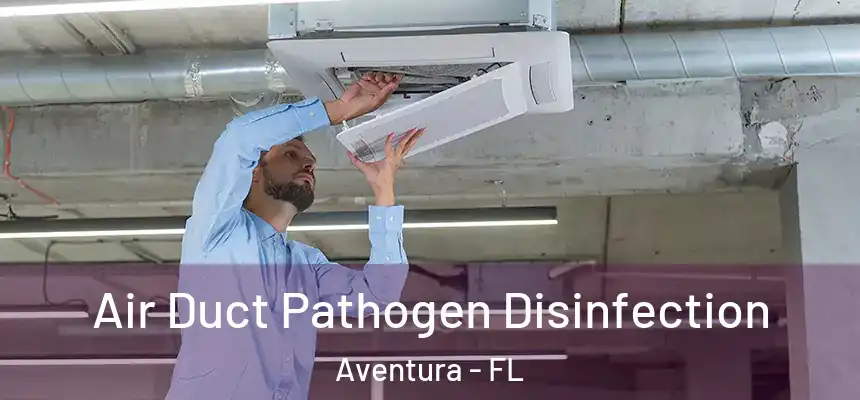 Air Duct Pathogen Disinfection Aventura - FL