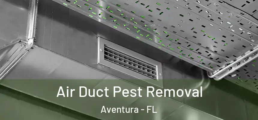 Air Duct Pest Removal Aventura - FL