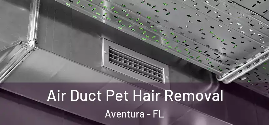  Air Duct Pet Hair Removal Aventura - FL