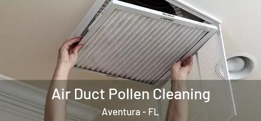 Air Duct Pollen Cleaning Aventura - FL