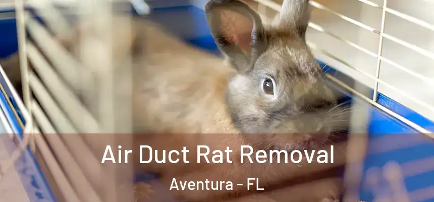 Air Duct Rat Removal Aventura - FL