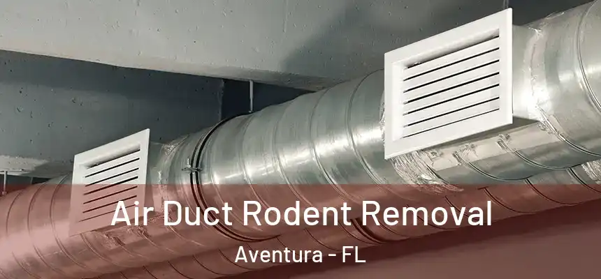 Air Duct Rodent Removal Aventura - FL