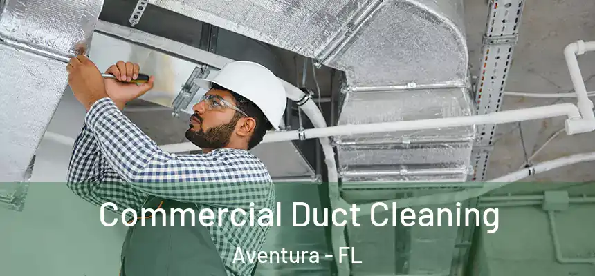 Commercial Duct Cleaning Aventura - FL