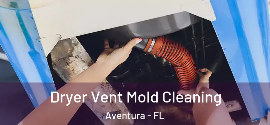 Dryer Vent Mold Cleaning Aventura - FL