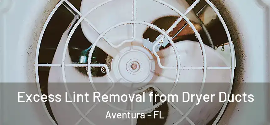  Excess Lint Removal from Dryer Ducts Aventura - FL