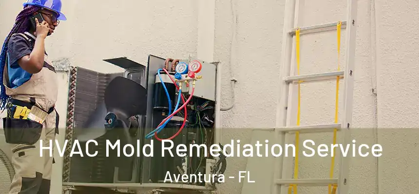 HVAC Mold Remediation Service Aventura - FL