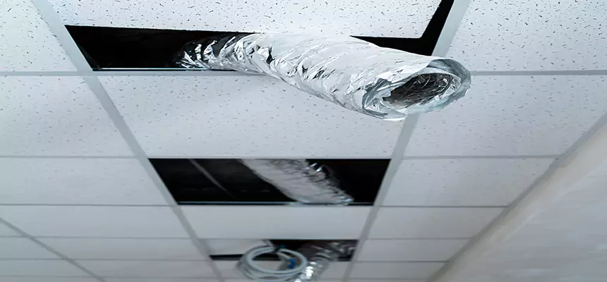 Our Air Duct Pet Hair Removal Services in Aventura, FL