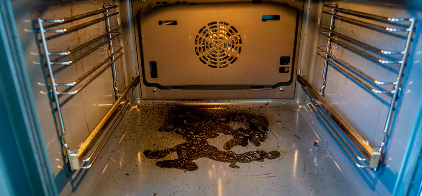 Our Dryer Vent Mold Cleaning Services in Aventura, FL