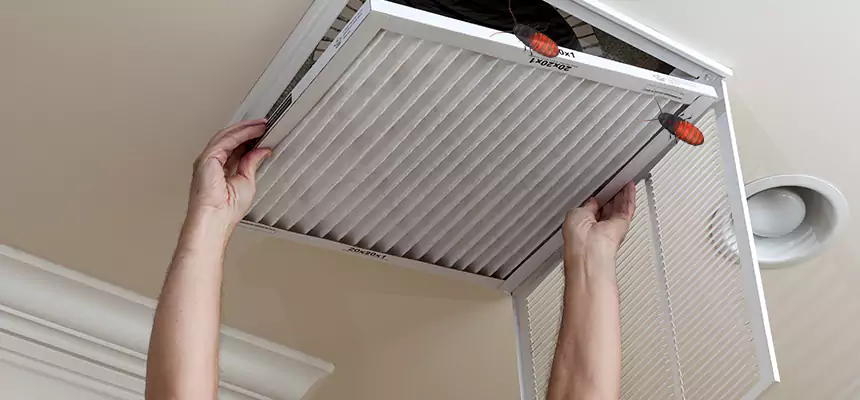 Our Insect Removal from Air Ducts Services in Aventura, FL