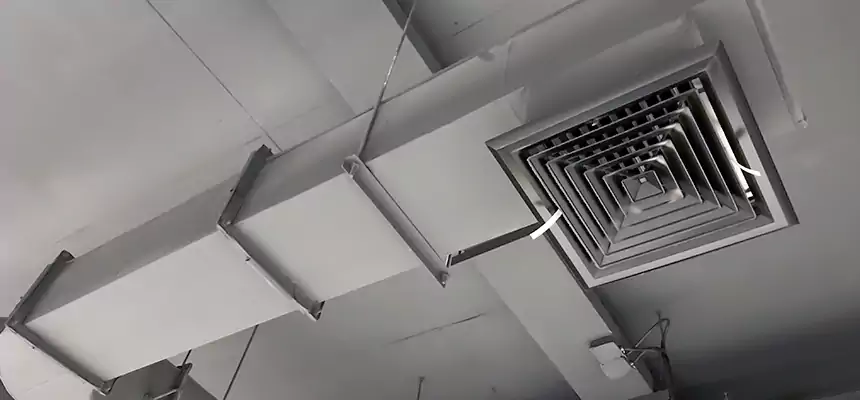 Our Pest Removal From Ducts Services in Aventura, FL