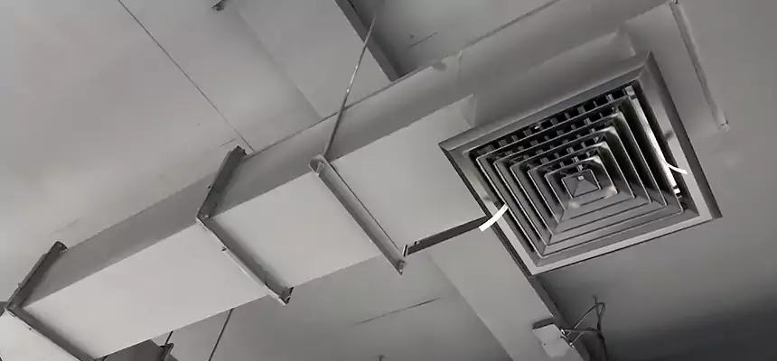 Our Rodent Droppings In Vents Services in Aventura, FL