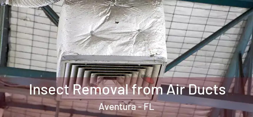 Insect Removal from Air Ducts Aventura - FL