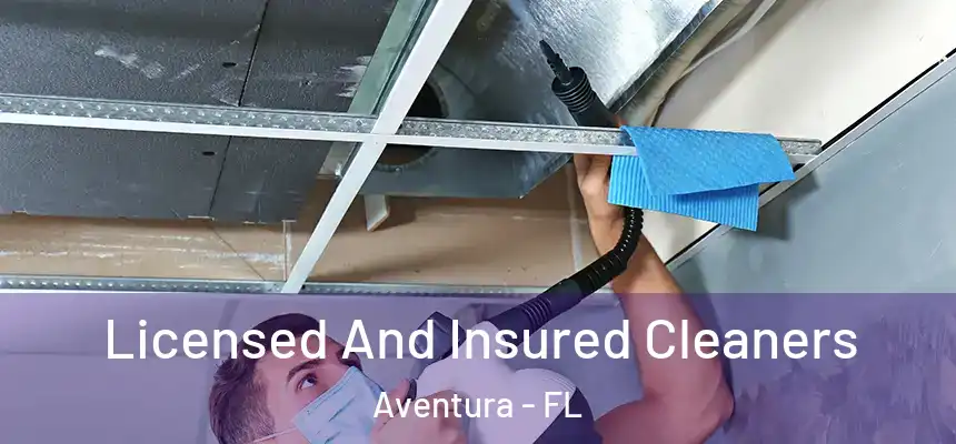 Licensed And Insured Cleaners Aventura - FL