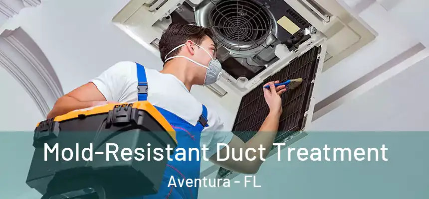 Mold-Resistant Duct Treatment Aventura - FL