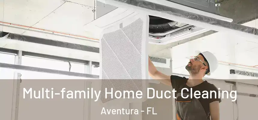 Multi-family Home Duct Cleaning Aventura - FL