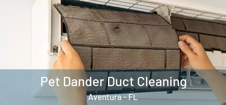 Pet Dander Duct Cleaning Aventura - FL