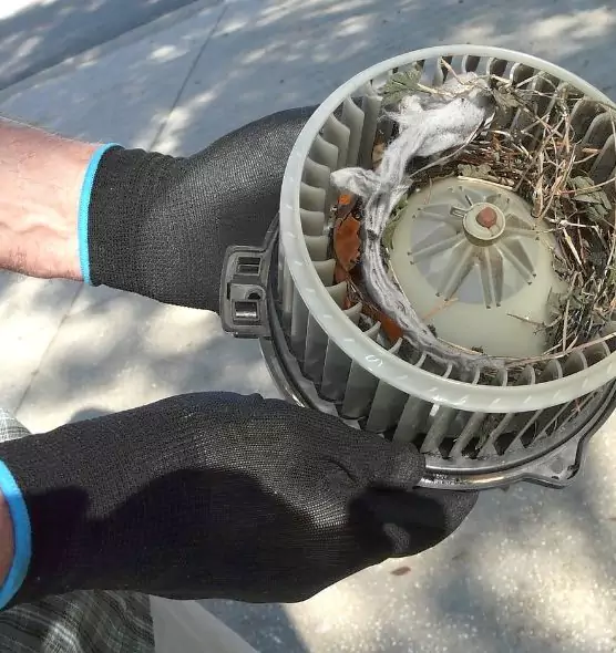 About Air Duct Mice Removal in Aventura, FL