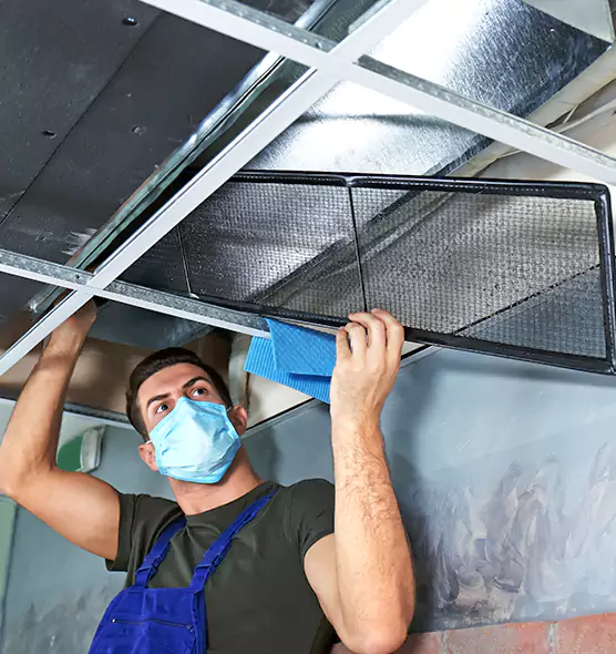 Professional Air Duct Pollen Cleaning in Aventura, FL