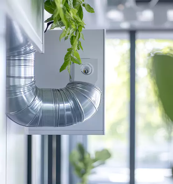 Professional Eco-Safe Dryer Vent Cleaning in Aventura, FL