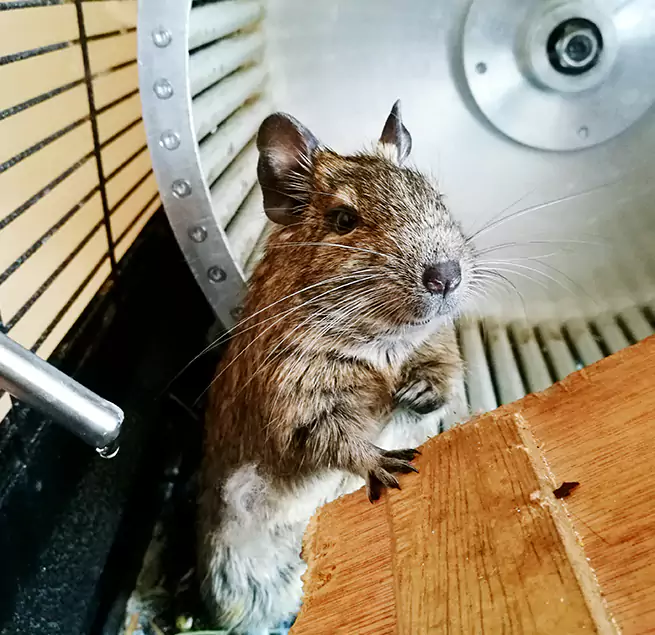 Why Homeowners & Businesses Trust Us Aventura, FL