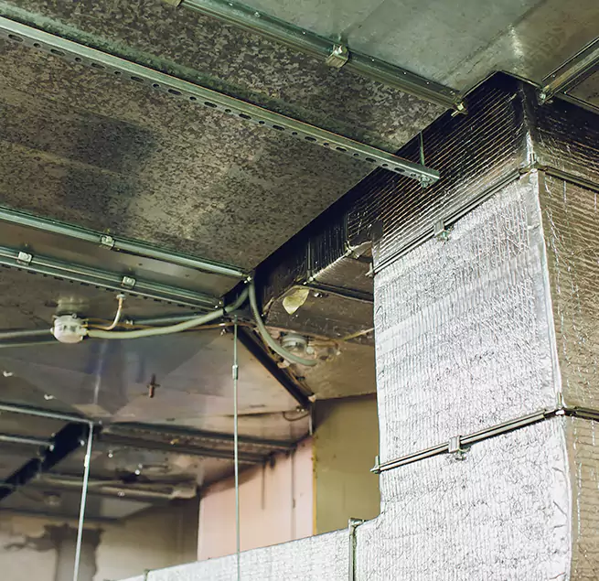 Why Homeowners & Businesses Trust Us in Aventura, FL?